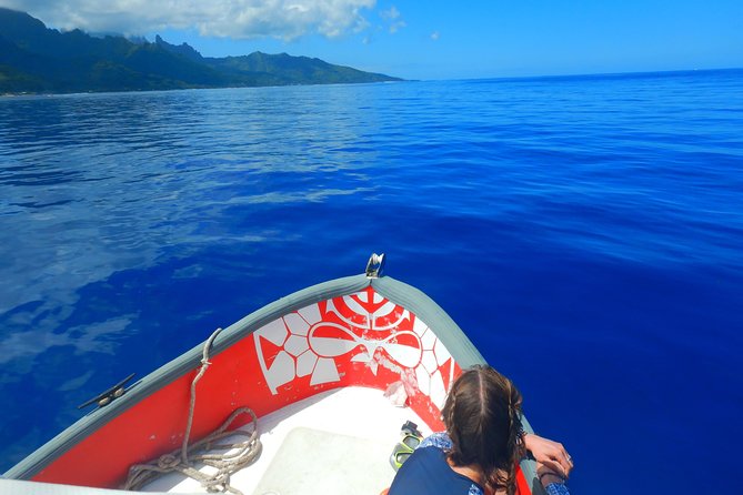 Boat tour 1/2 day Excursion in the lagoon of Moorea - Motu Tiahura and the Coral Garden