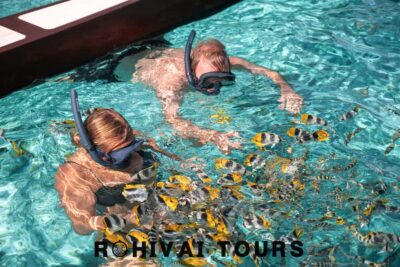 1/2 day lagoon safari – Shared tour