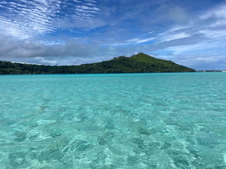 Bora Bora: 1/2 day lagoon safari - Shared tour - Guides who make the four hours work