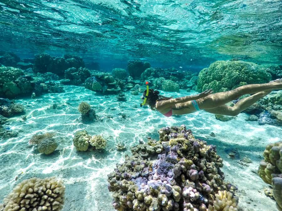 Bora Bora: 3.5-Hour Lagoon Boat Tour with Snorkeling - Key things to know before booking