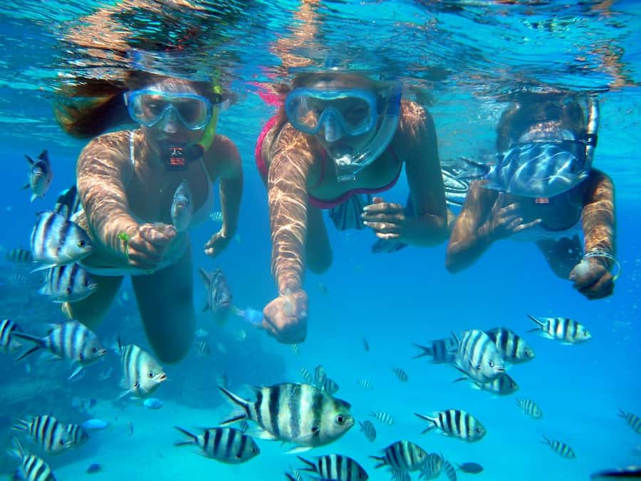 Bora Bora: 3.5-Hour Lagoon Boat Tour with Snorkeling - Equipment, clothing, and sun protection