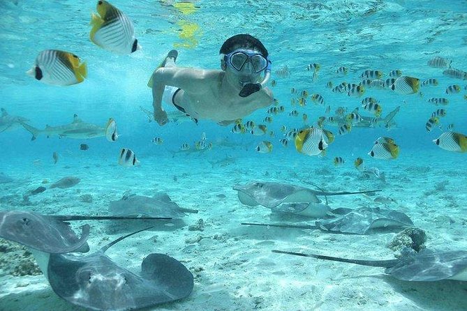 Bora Bora 4WD Tour & Eco Shark & Ray Snorkel Cruise - Bloody Mary’s gives the middle of the day a reset