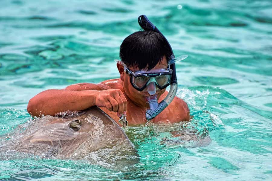 Bora Bora: 4x4 Safari with Snorkelling Combo Tour - The coral garden is the underwater highlight