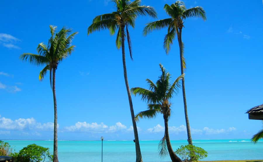 Bora Bora: 4x4 Safari with Snorkelling Combo Tour - Timing and pickup details that matter