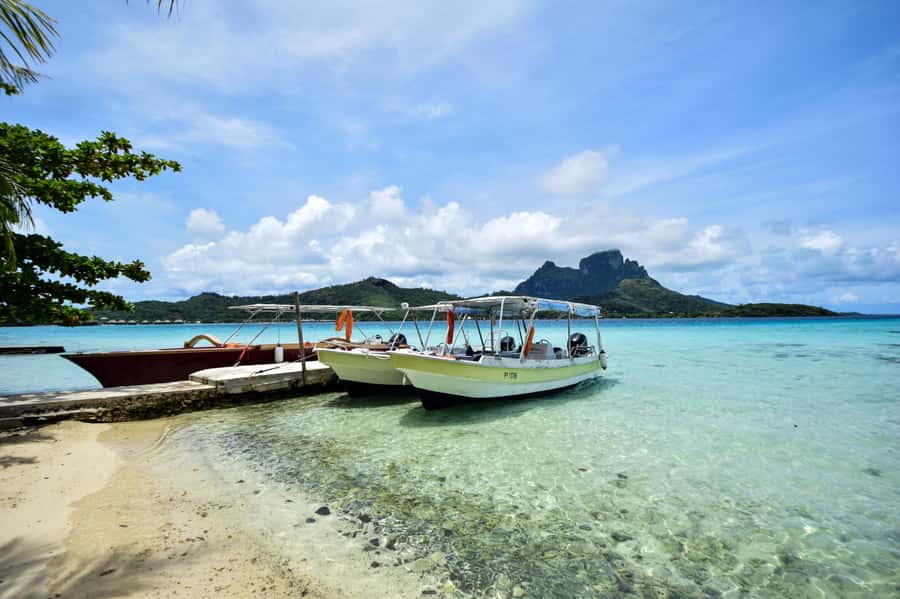 Bora Bora: 4x4 Safari with Snorkelling Combo Tour - Starting on the lagoon with sharks and rays