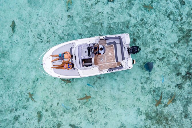 Bora Bora adventure Private Combo Jet Ski and Eco Sharks Snorkel - Key points to know before booking