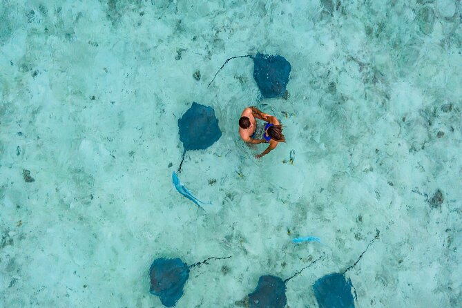 Bora Bora adventure Private Combo Jet Ski and Eco Sharks Snorkel - What the jet-ski route gives you that a boat ride does not