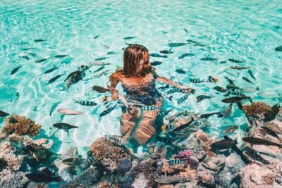 Bora Bora adventure Private Combo Jet Ski and Eco Sharks Snorkel
