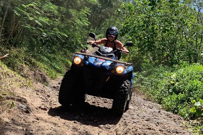 Bora Bora Atv-Quad Tours - What the $229.08 group price really means