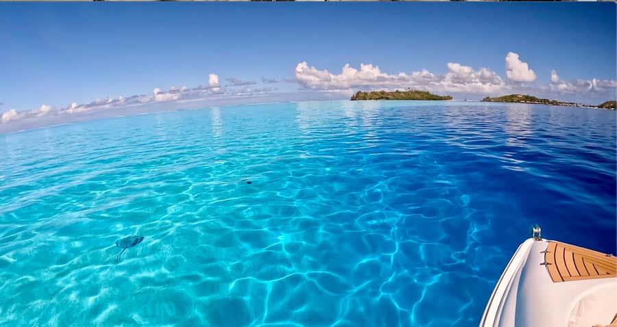 Bora Bora: Blue Lagoon Cruise, Snorkeling and Lunch . - Who will enjoy this most