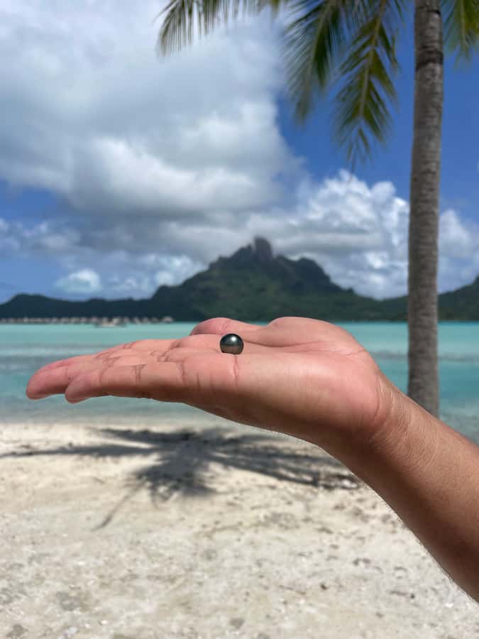 Bora Bora: Discovering the Tahitian black pearl ! - Snorkeling beside the coral garden