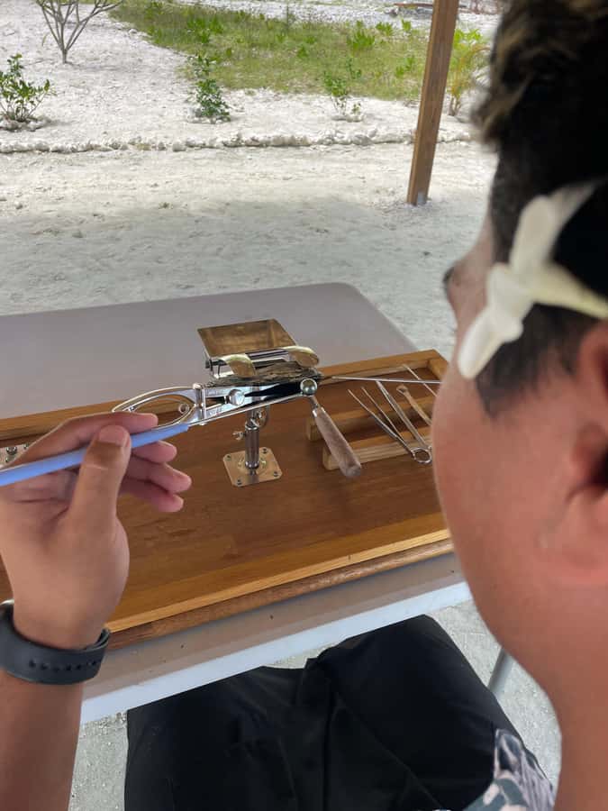 Bora Bora: Discovering the Tahitian black pearl ! - The 15-minute story of the Tahitian black pearl