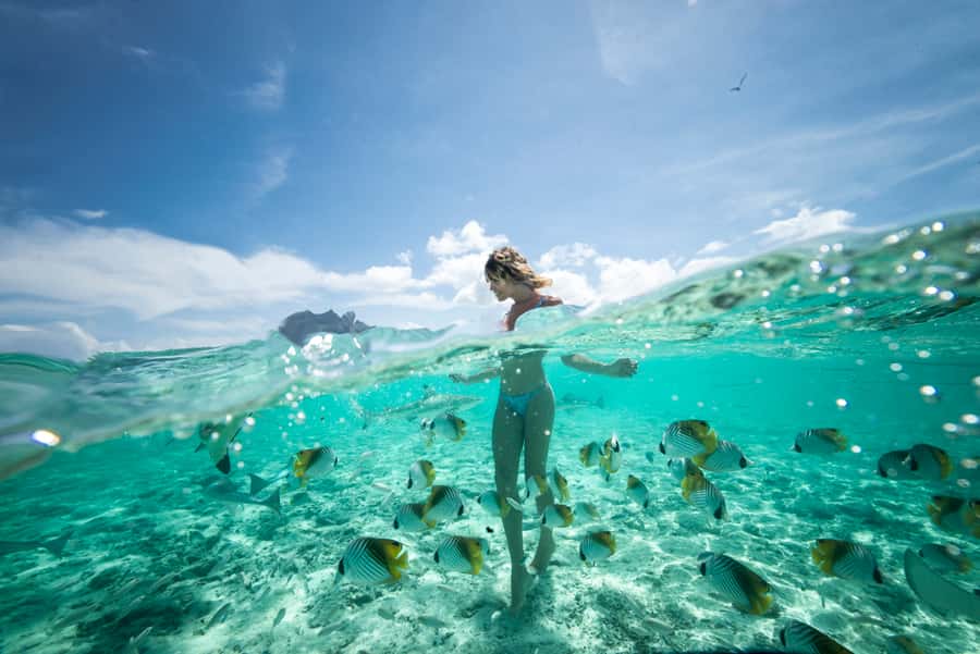 Bora Bora: Eco Shark and Snorkeling Safari - Setting out across Bora Bora’s lagoon