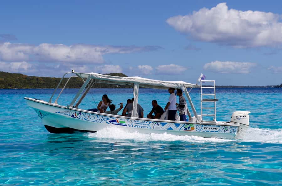 Bora Bora: Eco Shark and Snorkeling Safari - Simple ways to prepare