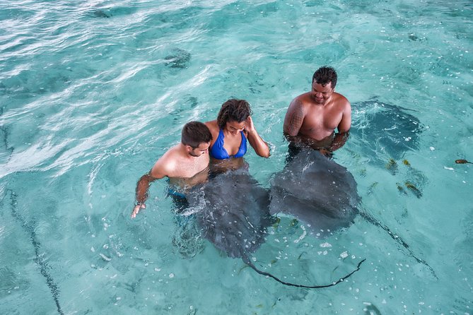 Bora Bora Eco Snorkel Cruise Including Snorkeling with Sharks and Stingrays - Is $118.37 a good price?