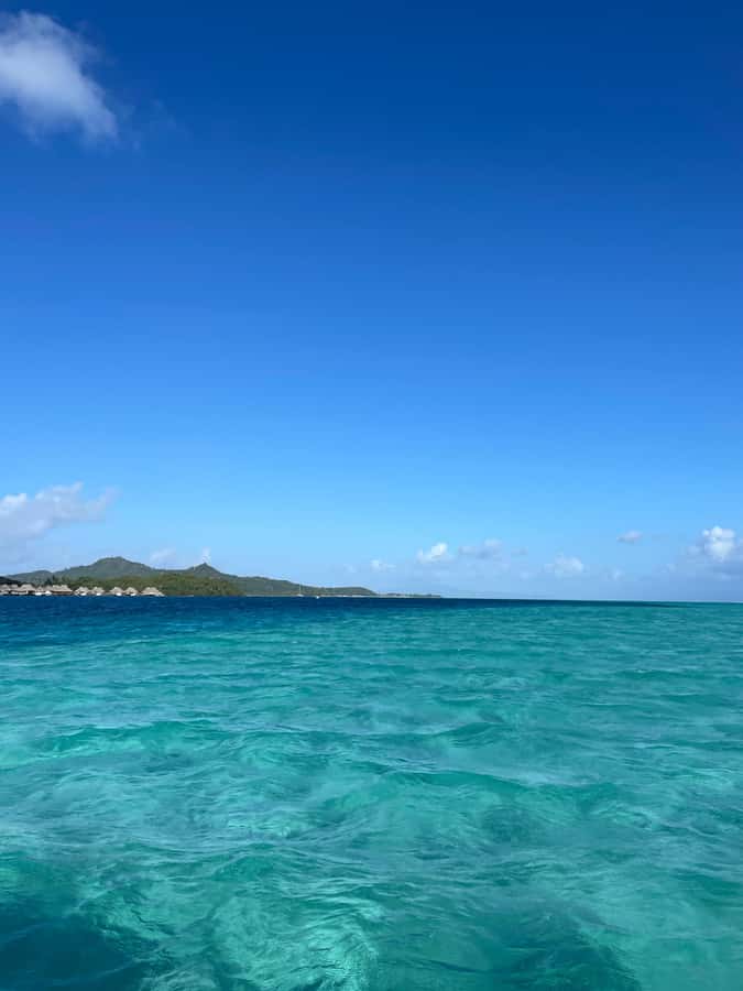 Bora Bora: Full day Lagoon Safari & Lunch on a Motu - ST - The manta ray stop, with no promises