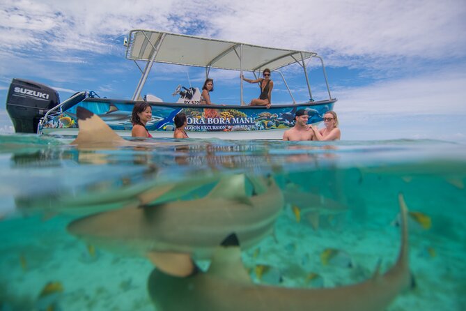 Bora Bora Full Day Snorkeling with Lunch - What your $153.04 buys on the lagoon