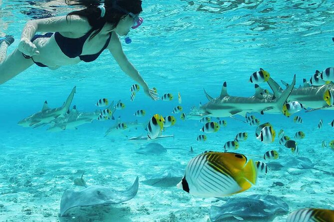 Bora Bora Full Day Snorkeling with Lunch - Four hours at Motu Fanfan