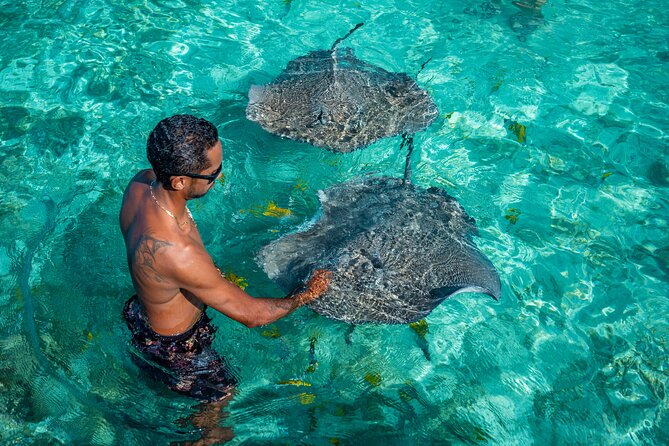 Bora Bora Full Day Snorkeling with Lunch - Starting at Tiare Market at 8:30 a.m.