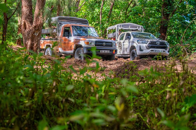 Bora Bora Half Day 4X4 Island Safari Tours - Mont Popoti and the 360-degree views