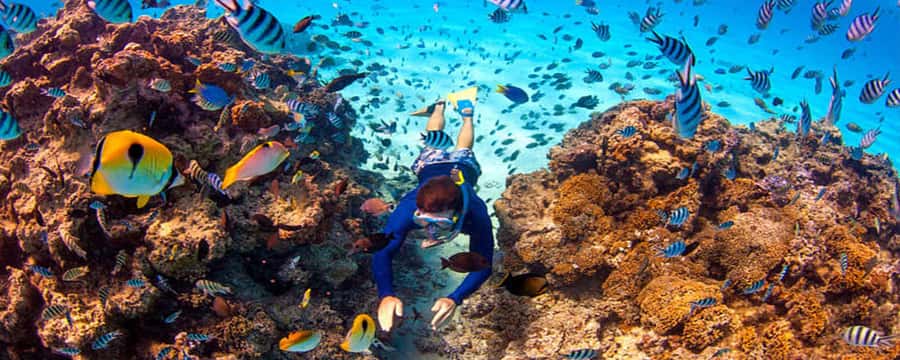 Bora Bora: Half Day Catamaran Sailing & Snorkelling - Speedboat pickup and the first part of the trip