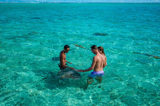 Bora Bora Half Day Snorkeling - Is $111.75 a fair price?