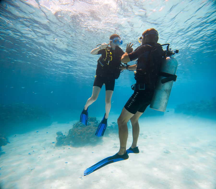 Bora Bora: Introductory Dive - Your first 30 minutes beneath the surface