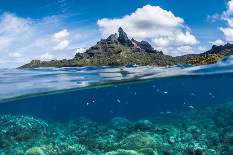 Bora Bora: Introductory Dive - How to make the most of your afternoon