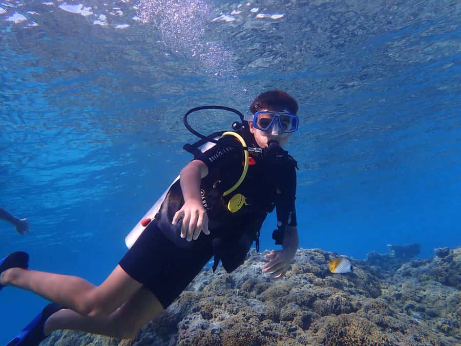 Bora Bora: Introductory Dive - Learning the basics before entering the lagoon