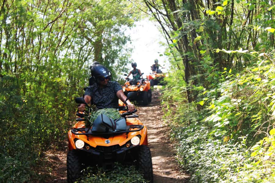 Bora Bora: Island Tour and Mountains Getaway by Quad Bike - Starting in Vaitape With a Short Riding Lesson