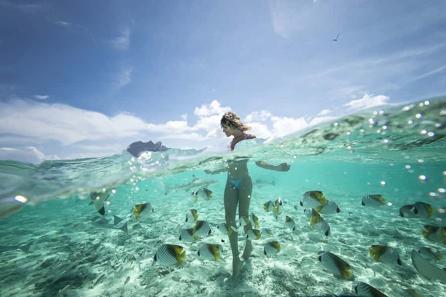 Bora Bora: Jet Ski, Lunch & Shark/ Ray Safari - Why this tour works so well in Bora Bora