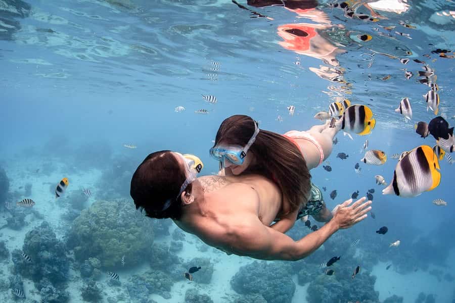Bora Bora: Jet Ski, Lunch & Shark/ Ray Safari - Searching for sharks and rays in the shallow lagoon