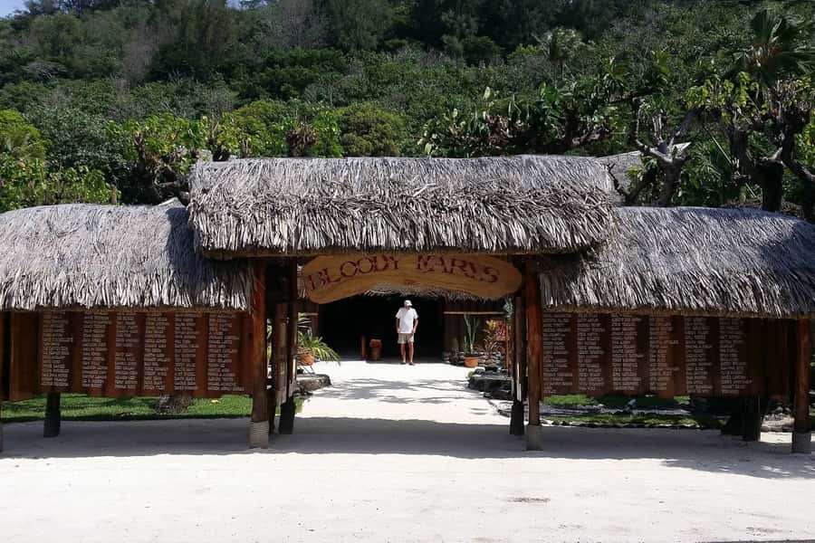 Bora Bora: Jet Ski, Lunch & Shark/ Ray Safari - Who should book this Bora Bora outing?