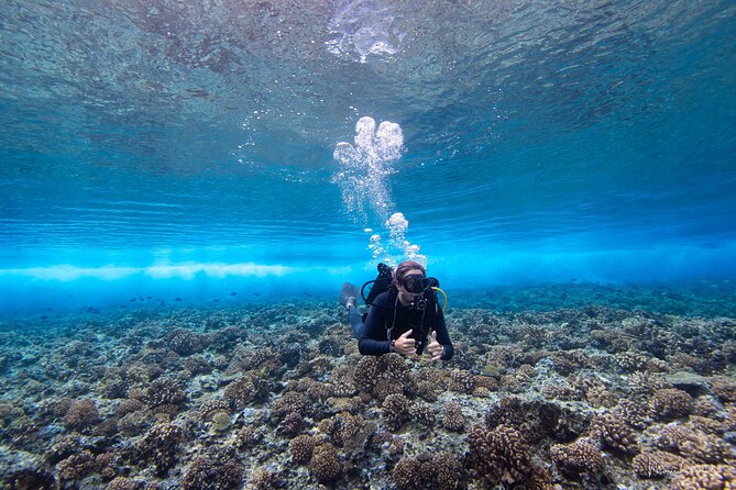 Bora Bora Jet Ski Tour - Two swim stops in clear lagoon water