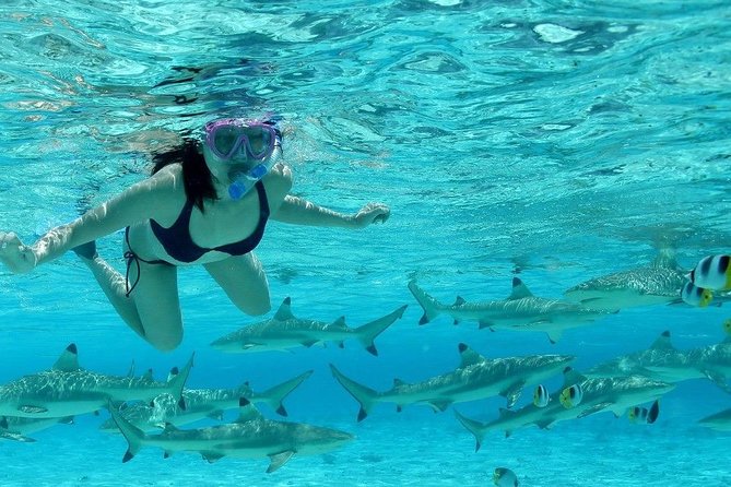 Bora Bora Jet Ski Tour, & Eco Shark / Ray Snorkel Cruise - What the $323.28 price really covers