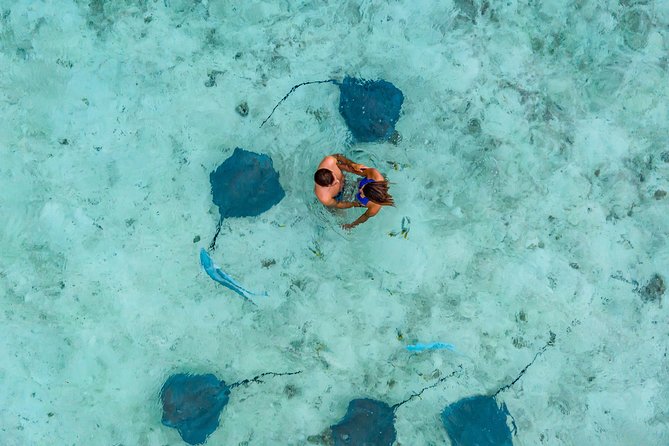 Bora Bora Jet Ski Tour, & Eco Shark / Ray Snorkel Cruise - The jet ski route around Mount Otemanu