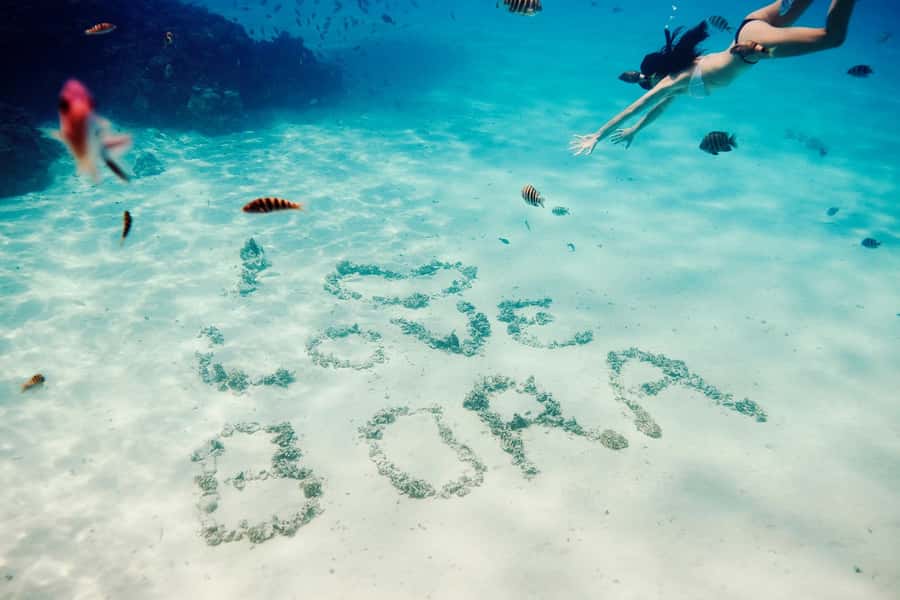 Bora Bora: Lagoon Tour and Snorkeling Experience - Stop one: calm water and curious stingrays
