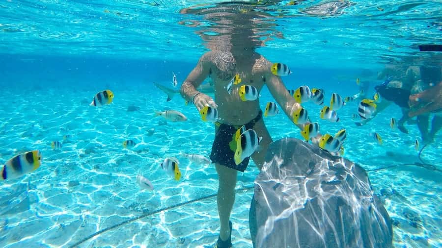 Bora Bora: Lagoon Tour and Snorkeling Experience - Stop two: Bora Bora’s coral garden