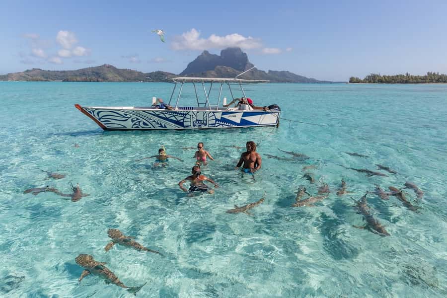 Bora Bora: Lagoon Tour and Snorkeling Experience - Stop three: blacktip and lemon sharks