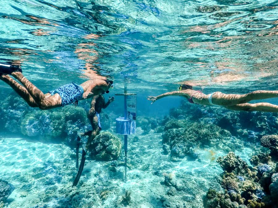 Bora Bora: Lagoon Tour and Snorkeling Experience - The sandbank snack with Mount Otemanu