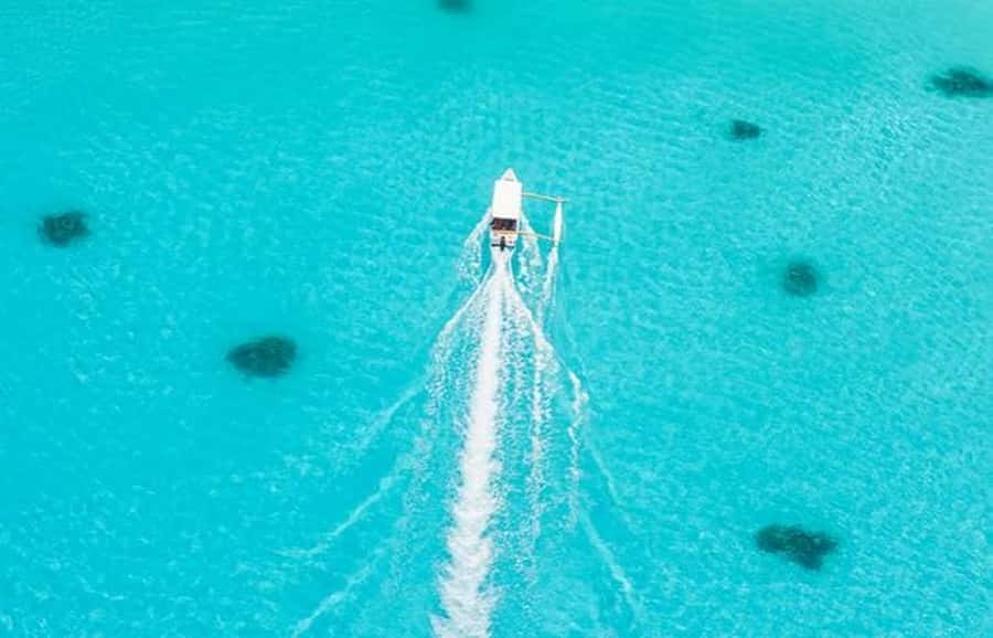 Bora Bora: Lagoon Tour and Snorkeling Experience - What the $138 price really covers