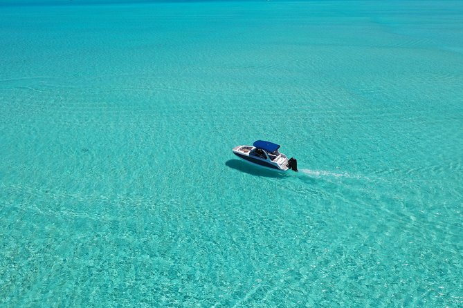 Bora Bora: Luxury Private Half Day Snorkeling Tour - A possible bonus: dolphins and other lagoon life