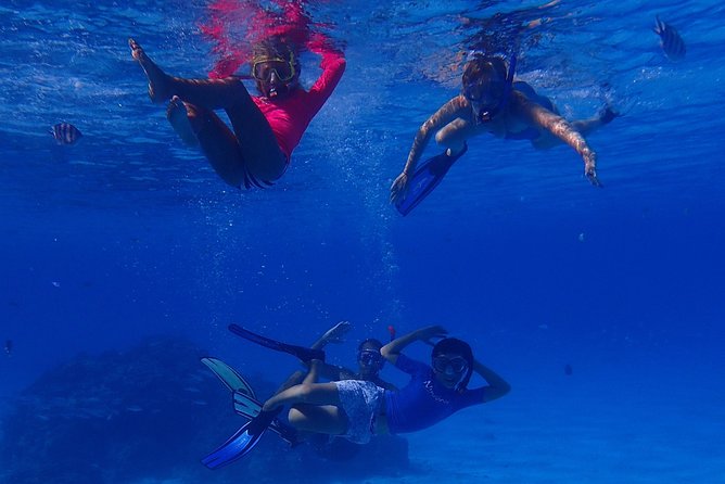 Bora Bora: Luxury Private Half Day Snorkeling Tour - What the Four Winns 220 adds