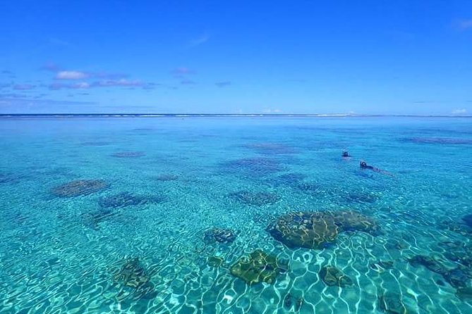 Bora Bora: Luxury Private Half Day Snorkeling Tour - Stop one: getting comfortable in the lagoon