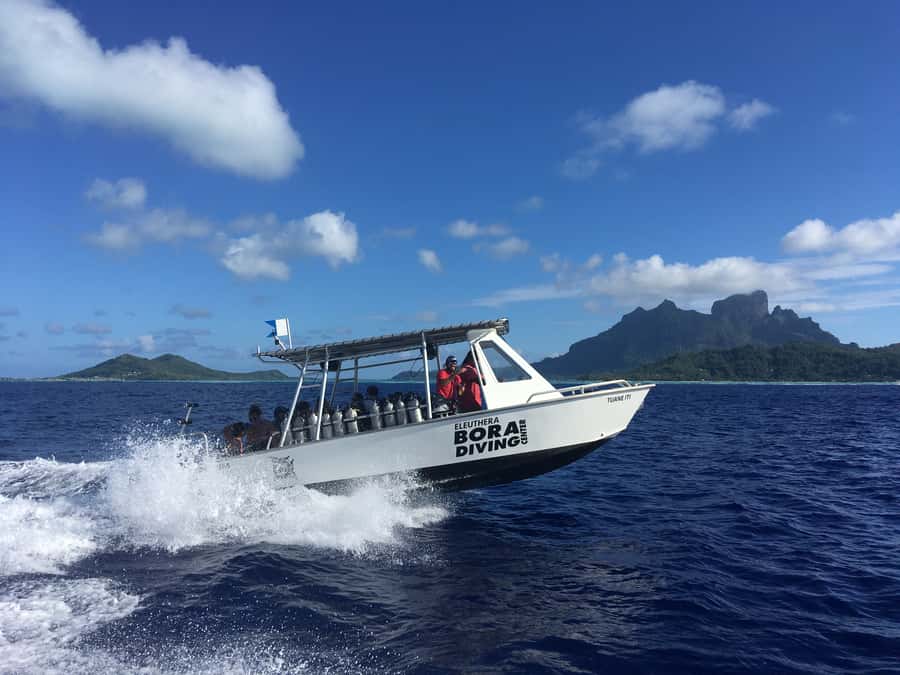 Bora Bora: Morning 2 tank dive for certified divers - The second session outside the reef