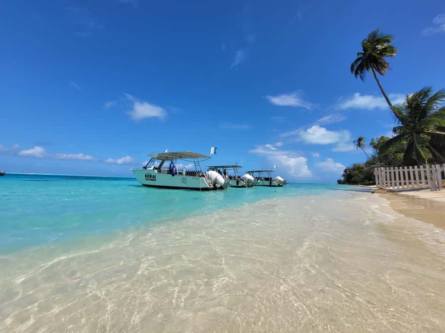 Bora Bora: Morning 2 tank dive for certified divers - Pickup and the 30-minute boat ride