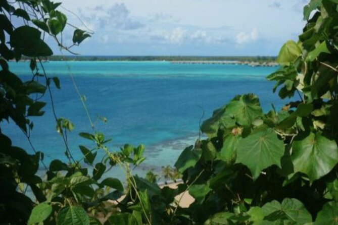 Bora Bora Off-Road Sightseeing Tour - Timing, pickups, and the cruise ship promise