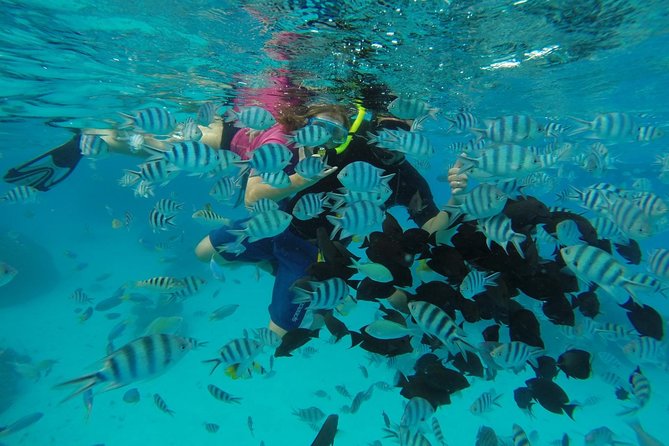 Bora Bora Private Lagoon Tours - A private start on Bora Bora’s lagoon