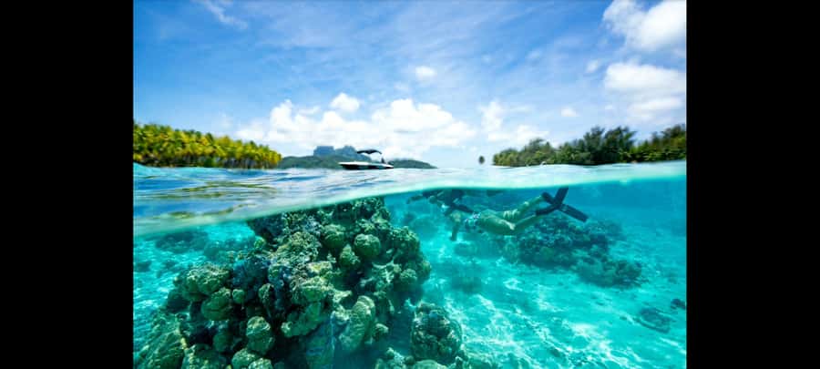 Bora Bora: Snorkeling and Fishing Tour with Lunch Option - The private boat makes the day more personal