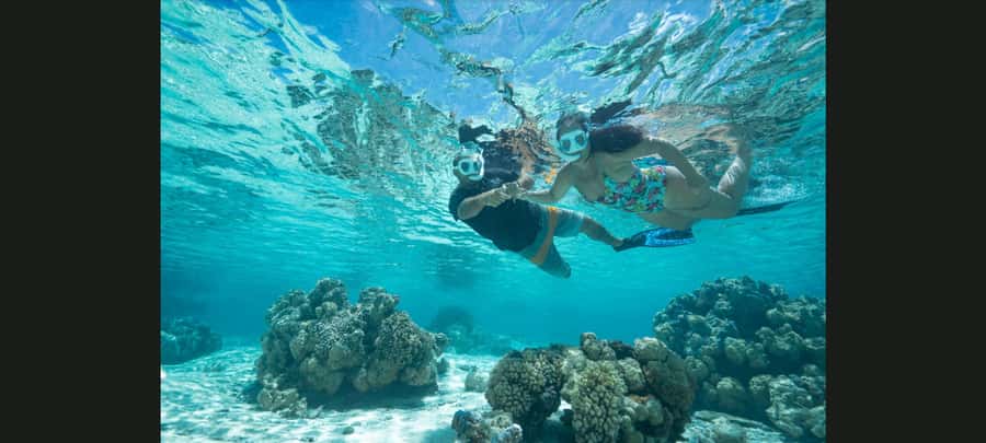 Bora Bora: Snorkeling and Fishing Tour with Lunch Option - What the three-hour snorkeling route offers